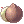 Coconut Fruit, предмет (Renewal)