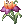 Mysterious Flower, предмет (Renewal)