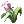 Hinalle, предмет (Renewal)