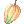 Cacao, предмет (Renewal)