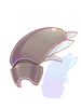 Shell of Awareness, предмет (Renewal) Shell of Awareness, предмет (Renewal)