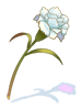Aromatic Flower, предмет (Renewal) Aromatic Flower, предмет (Renewal)