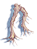 Maneater Root, предмет (Renewal) Maneater Root, предмет (Renewal)