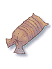 Earthworm Peeling, предмет (Pre-Renewal) Earthworm Peeling, предмет (Pre-Renewal)