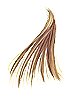 Golden Hair, предмет (Pre-Renewal) Golden Hair, предмет (Pre-Renewal)