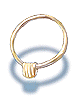 Reins, предмет (Renewal) Reins, предмет (Renewal)