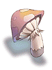 Orange Net Mushroom, предмет (Pre-Renewal) Orange Net Mushroom, предмет (Pre-Renewal)