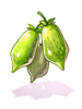 Catnip Fruit, восстанавливающий предмет (Renewal) Catnip Fruit, восстанавливающий предмет (Renewal)