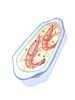 Chile Shrimp Gratin, восстанавливающий предмет (Renewal) Chile Shrimp Gratin, восстанавливающий предмет (Renewal)