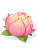 Charming Lotus, расходный материал (Pre-Renewal) Charming Lotus, расходный материал (Pre-Renewal)