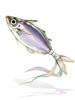 Pompano, кинжал (Renewal) Pompano, кинжал (Renewal)