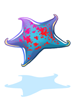 Starfish, (Renewal) Starfish, (Renewal)