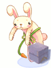 Drooping Bunny Box, расходный материал (Renewal) Drooping Bunny Box, расходный материал (Renewal)