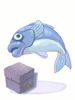 Evolved Blue Fish Box, расходный материал (Renewal)