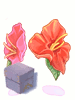 Hibiscus Box, расходный материал (Renewal)