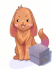 Puppy Hat Box, расходный материал (Renewal) Puppy Hat Box, расходный материал (Renewal)
