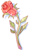 Idn Heart Scroll, расходный материал (Renewal) Idn Heart Scroll, расходный материал (Renewal)