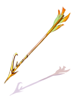 Elven Arrow, стрела (Renewal) Elven Arrow, стрела (Renewal)