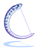 Zebra Eel, лук (Renewal) Zebra Eel, лук (Renewal)