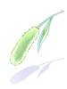 Green Foxtail, броня (Renewal) Green Foxtail, броня (Renewal)