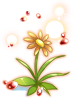 Illusion Fancy Flower [1], броня (Renewal)