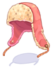 Costume Earmuff Hat, броня (Renewal)