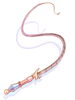 Queen's Whip [2], кнут (Renewal)