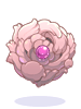 Rosa Shield [1], броня (Renewal)
