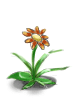 Fancy Flower, броня (Pre-Renewal) Fancy Flower, броня (Pre-Renewal)