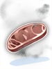 Stinky Rotten Meat, расходный материал (Renewal) Stinky Rotten Meat, расходный материал (Renewal)