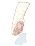 Paw Of Cat, броня (Pre-Renewal) Paw Of Cat, броня (Pre-Renewal)
