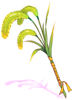 Trial Summoner's Foxtail [1], посох (Renewal)