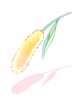 Beginner Summoner's Foxtail [1], посох (Renewal)