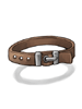 Belt [1], броня (Renewal)