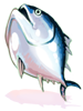 Fresh Tuna Talisman [1], броня (Renewal)