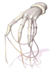 Evil Spirit Gloves [1], броня (Renewal)