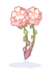 C Persica, броня (Renewal)
