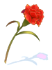 Physical Flower 1Lv, (Renewal) Physical Flower 1Lv, (Renewal)