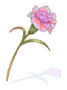 Magical Flower 2Lv, (Renewal) Magical Flower 2Lv, (Renewal)