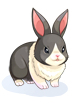 C Panda Rabbit, броня (Renewal) C Panda Rabbit, броня (Renewal)