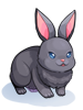 Costume Black Rabbit, броня (Renewal)