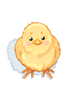 Chick Hat, броня (Renewal) Chick Hat, броня (Renewal)