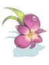 Orchid Hairband, броня (Pre-Renewal)
