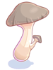 Edible Mushroom, восстанавливающий предмет (Pre-Renewal) Edible Mushroom, восстанавливающий предмет (Pre-Renewal)