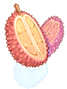 Red Prickly Fruit, восстанавливающий предмет (Pre-Renewal) Red Prickly Fruit, восстанавливающий предмет (Pre-Renewal)