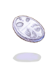 Splendide Coin, предмет (Pre-Renewal) Splendide Coin, предмет (Pre-Renewal)