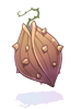Seed Of Thorny Plant, предмет (Pre-Renewal) Seed Of Thorny Plant, предмет (Pre-Renewal)