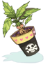 Mandragora Flowerpot, предмет (Pre-Renewal) Mandragora Flowerpot, предмет (Pre-Renewal)