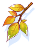 Golden Leaf, предмет (Renewal) Golden Leaf, предмет (Renewal)