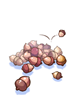 Pile Of Acorn, предмет (Renewal)